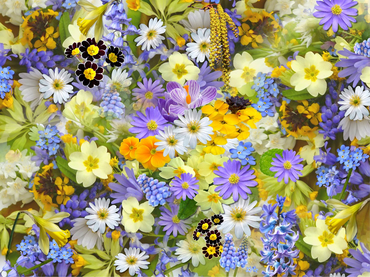 Close-up van eclectische collagewand met natuurkunst.