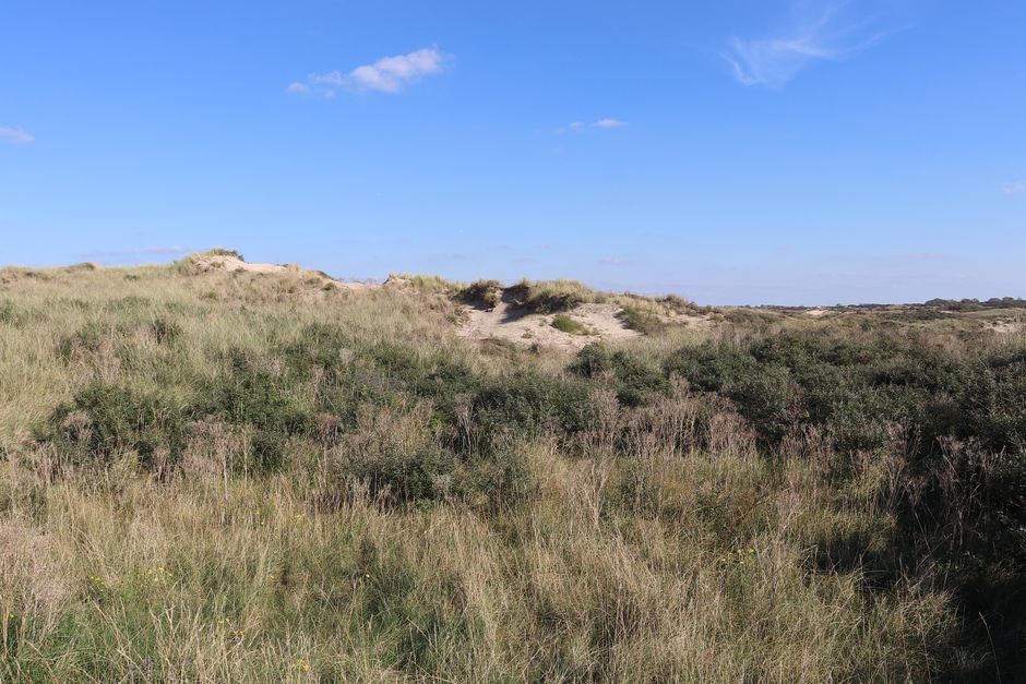 Uitgestrekt lavaveld in het stille IJsland. Uitgestrekt lavaveld in het stille IJsland.